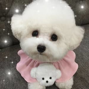 Meet your Posher, Mandy